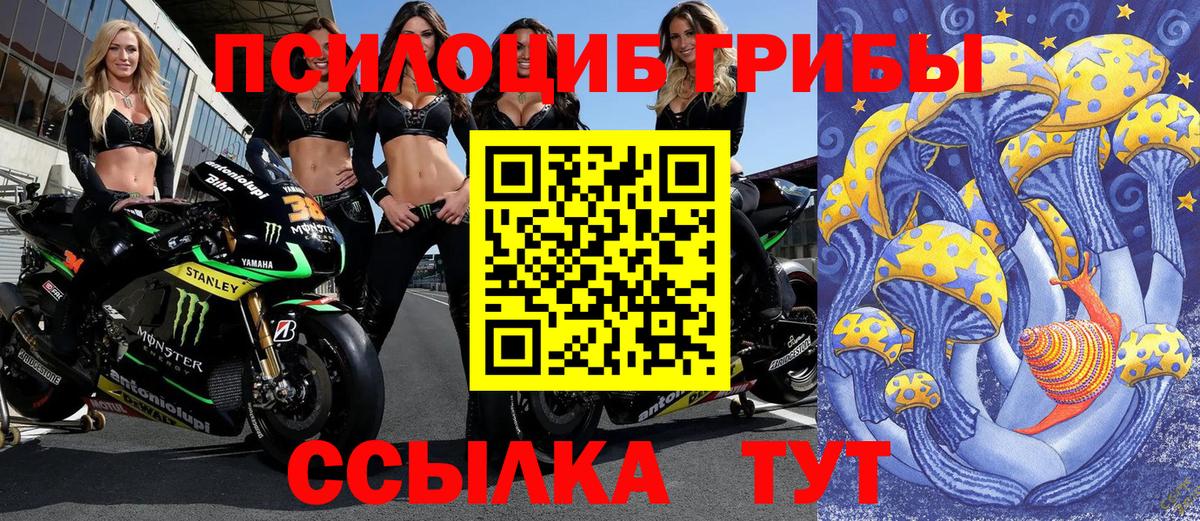 Псилоцибиновые грибы мицелий Сланцы
